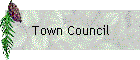 Town Council