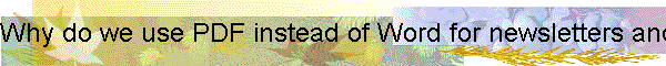 Why do we use PDF instead of Word for newsletters and minutes and such